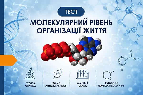 Тест "Молекулярний рівень організації життя"